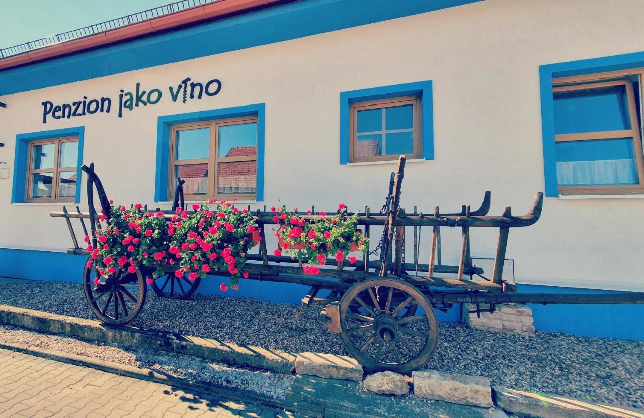 Penzion Jako Vino Bulhary Eksteriør billede
